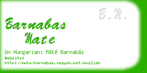 barnabas mate business card